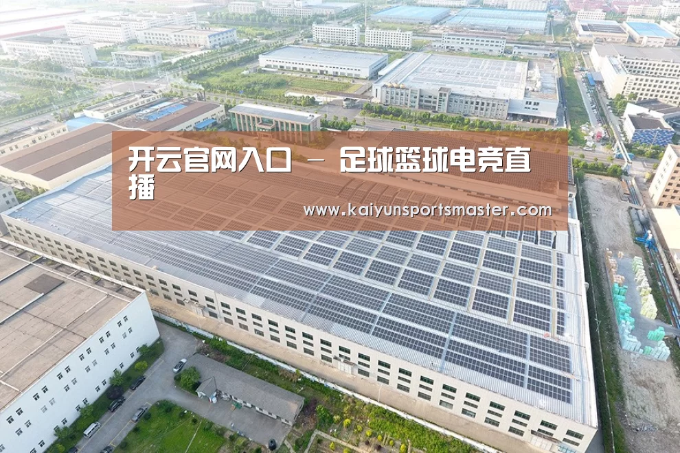案例展示二