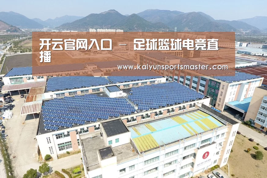 案例展示二