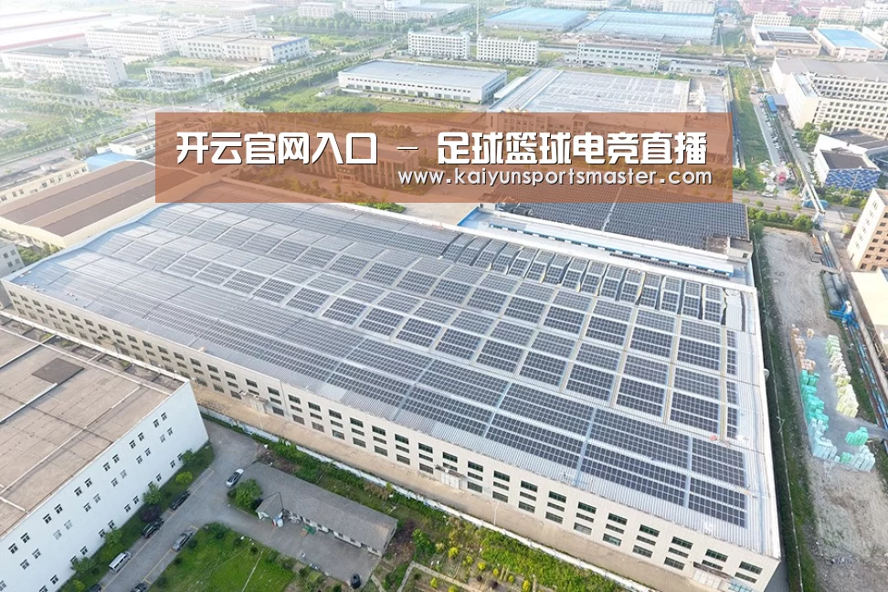 案例展示二