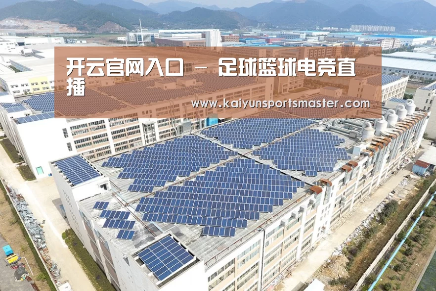 案例展示四
