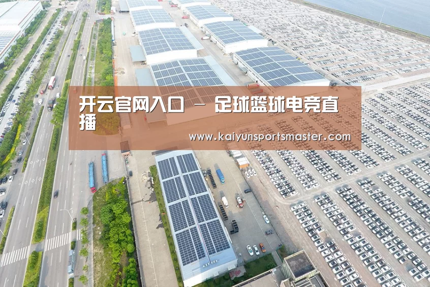 案例展示一