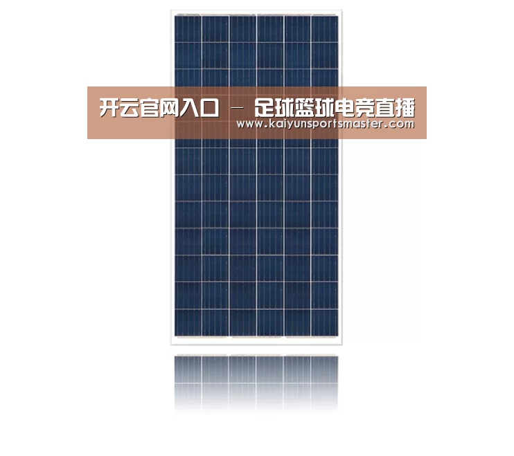 产品名称一