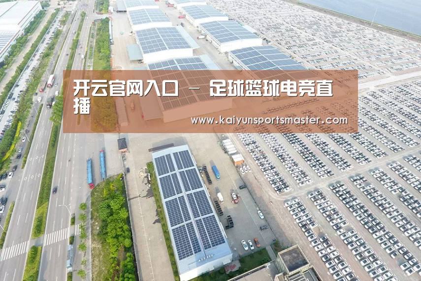 案例展示四