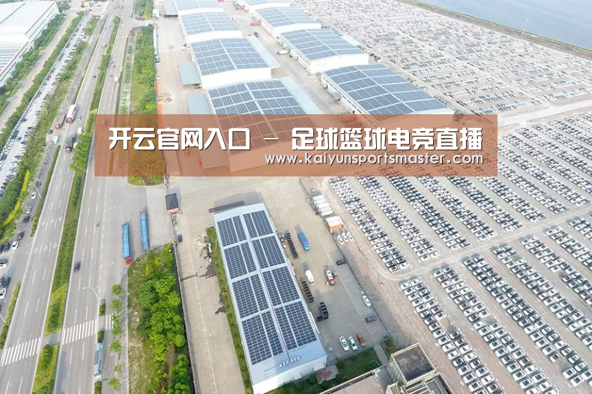 案例展示三
