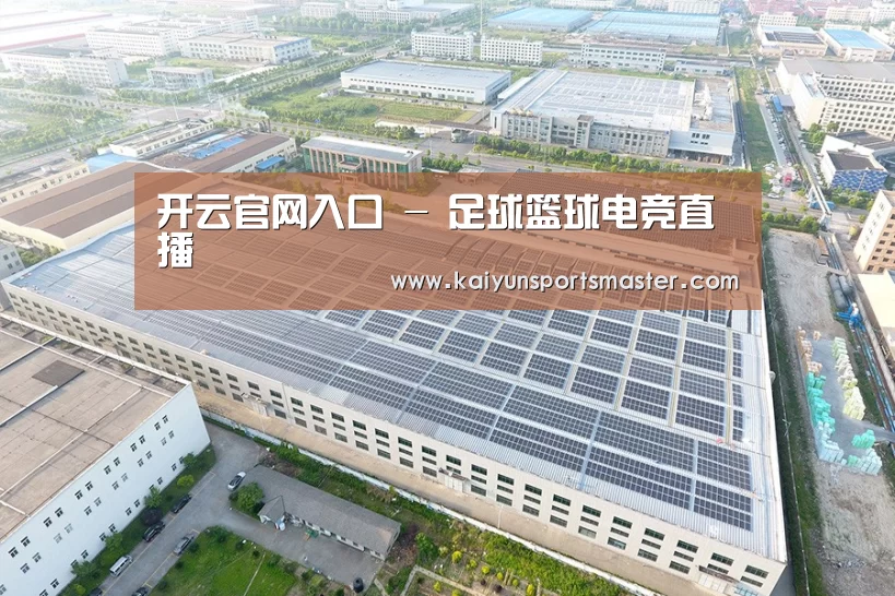 案例展示四