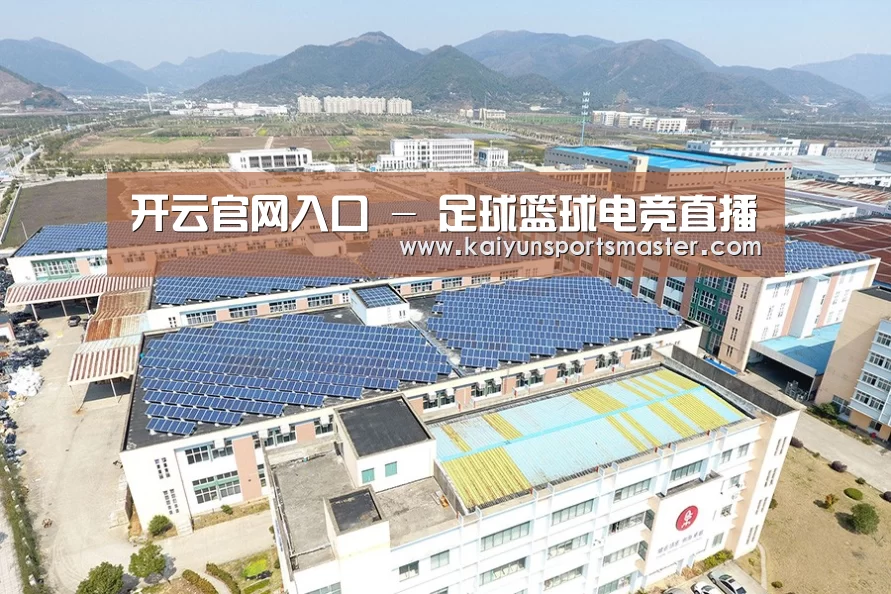 案例展示三