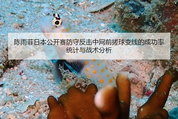 陈雨菲日本公开赛防守反击中网前搓球变线的成功率统计与战术分析