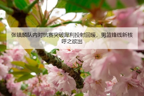 张镇麟队内对抗赛突破犀利投射回暖，男篮锋线新核呼之欲出