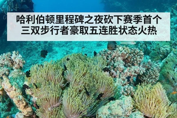 哈利伯顿里程碑之夜砍下赛季首个三双步行者豪取五连胜状态火热