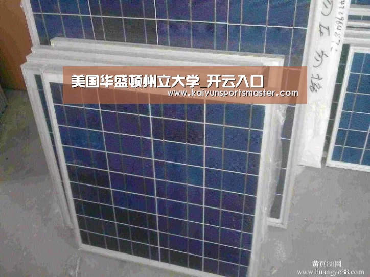 美国华盛顿州立大学_开云入口